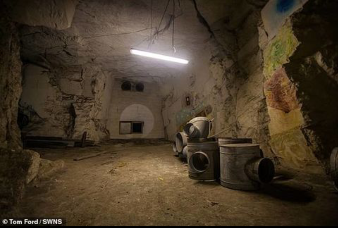 Penampakan Kebun Ganja Di Bawah Tanah